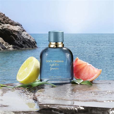 dolce gabbana forever pour homme